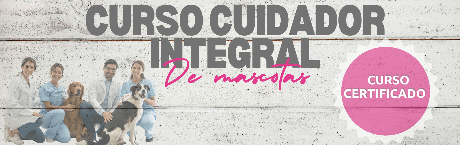 Curso Cuidador Integral de Mascotas