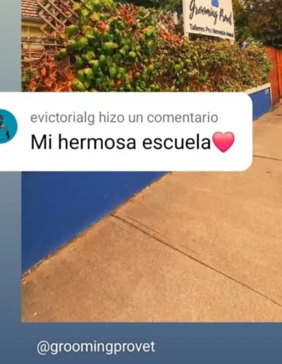 comentario evictorialg