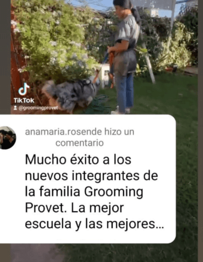 Comentario Ana Maria Rosende