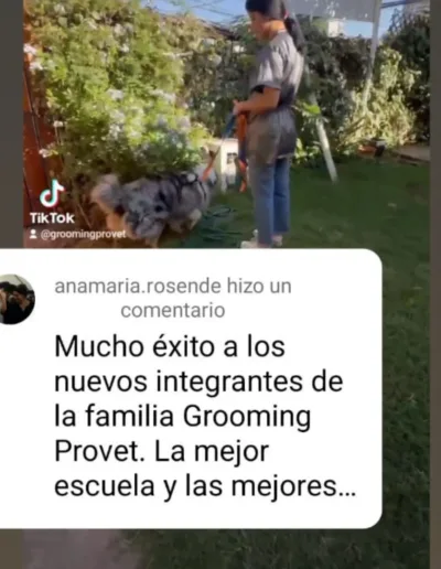 Comentario Ana Maria Rosende