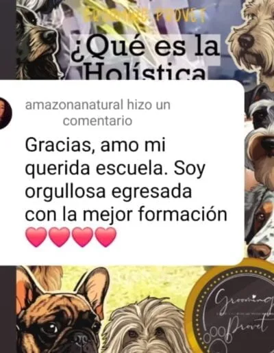 Comentario amazona natural