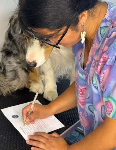 Grooming Provet - Curso Peluquería Canina