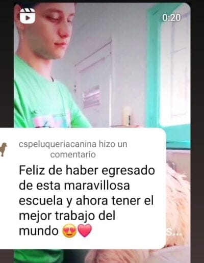 Comentario cs peluqueria canina