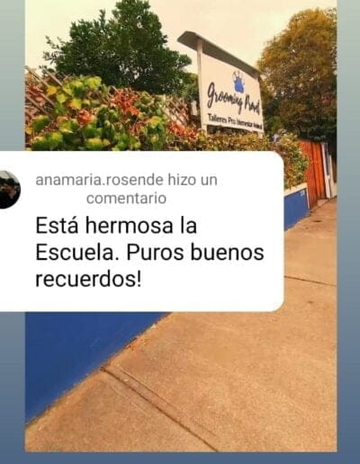 Comentario Ana Maria Rosende