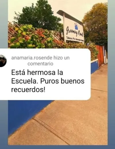 Comentario Ana Maria Rosende