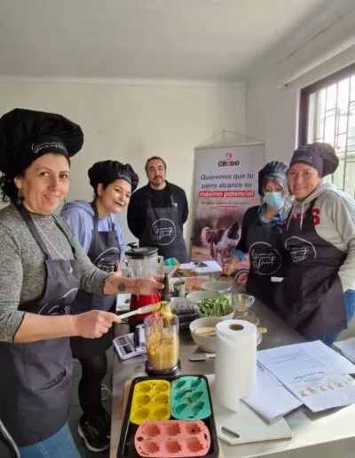 Grooming Provet - Talleres