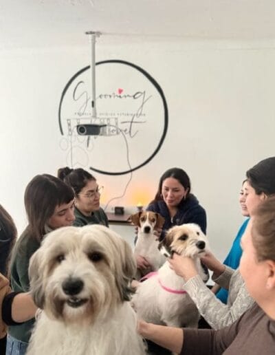 Grooming Provet - Bienestar Animal