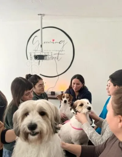 Grooming Provet - Bienestar Animal