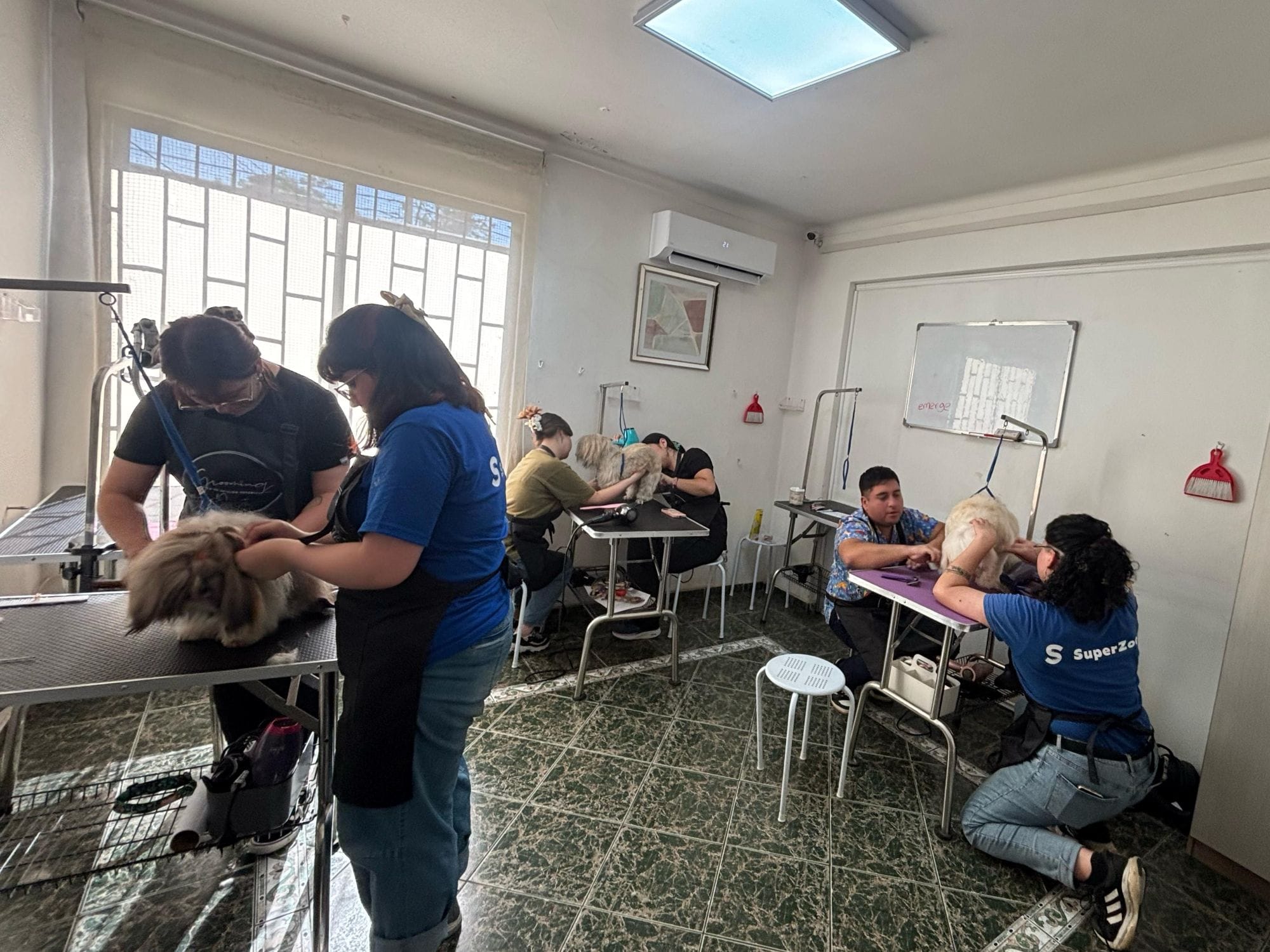 WhatsApp Image 2025-03-25 at 11.54.20 - copia