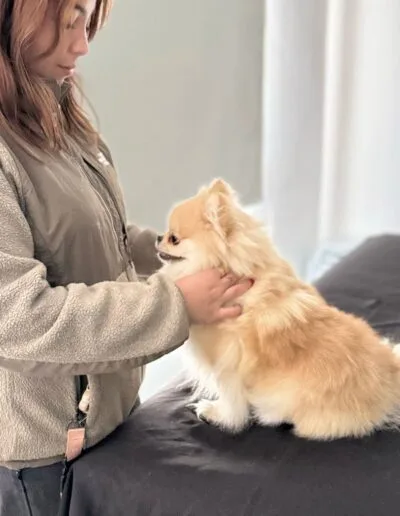 Grooming Provet - Bienestar Animal