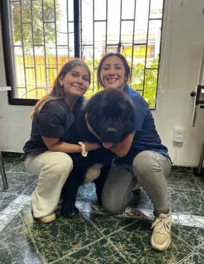 Grooming Provet - Bienestar Animal