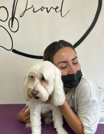 Grooming Provet - Bienestar Animal